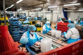 Food Industry