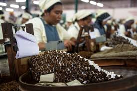 Tobacco Industry